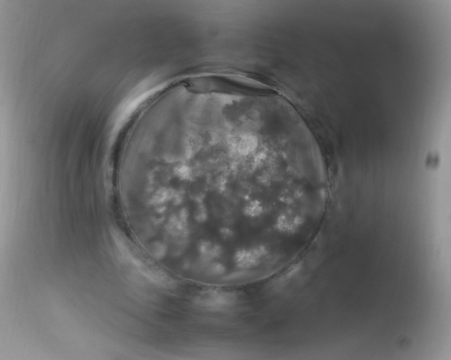 X0000113070343200909182030