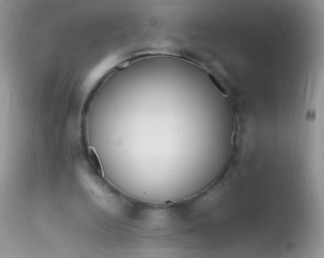 X0000113070344200909182030