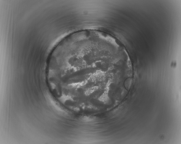 X0000113070346200909182030