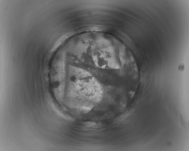 X0000113070347200909182030