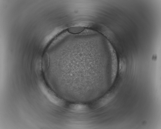 X0000113070348200909182030