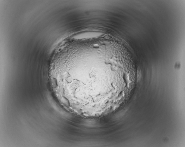 X0000113070349200909182030