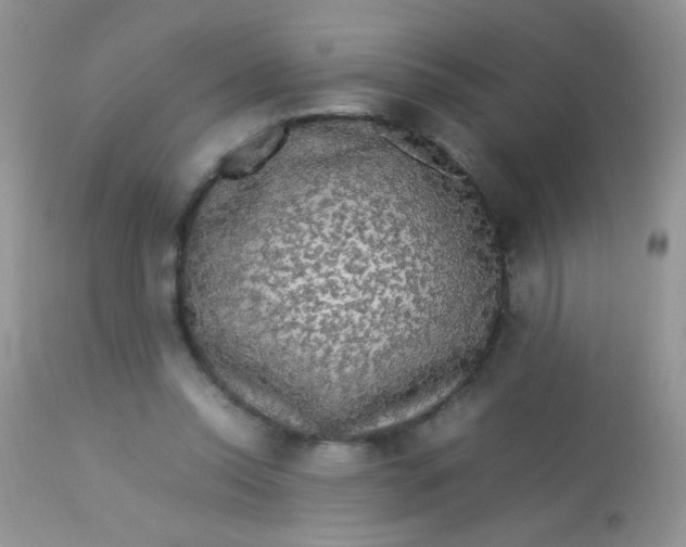 X0000113070350200909182030