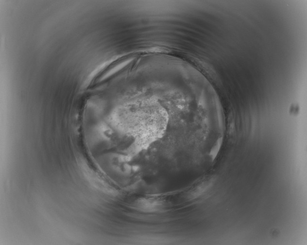 X0000113070351200909182030