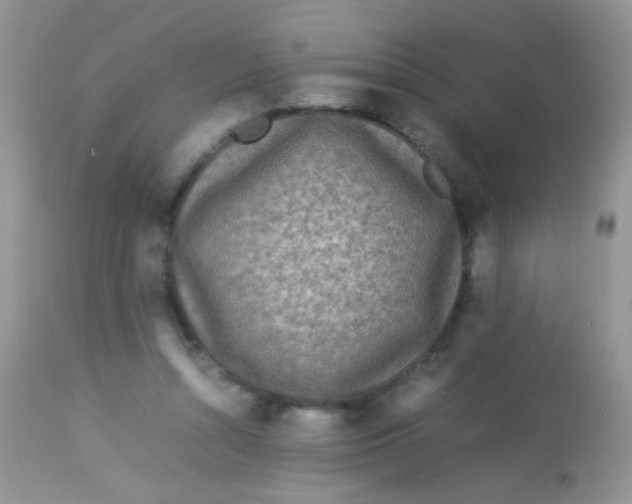 X0000113070352200909182030