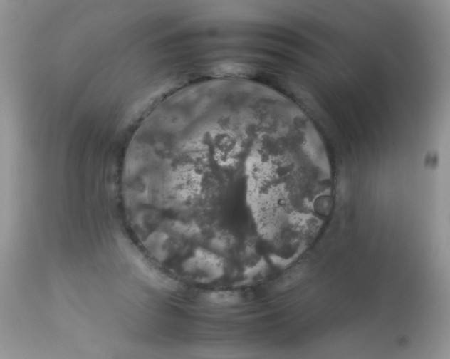 X0000113070353200909182030