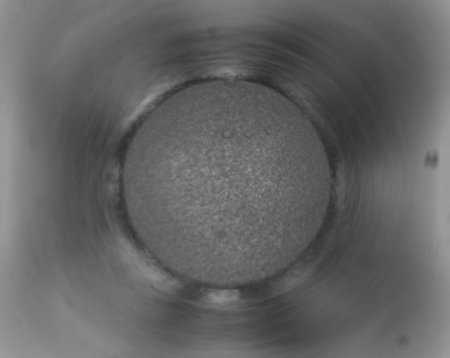 X0000113070355200909182030