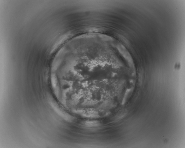 X0000113070357200909182030