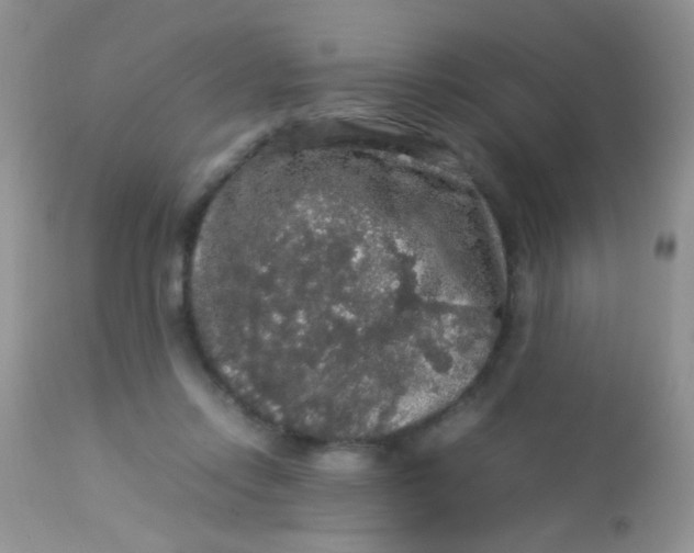 X0000113070358200909182030