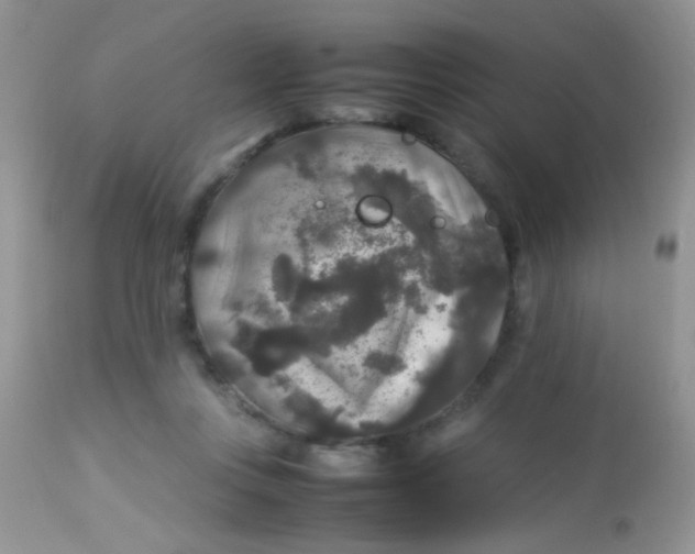 X0000113070359200909182030