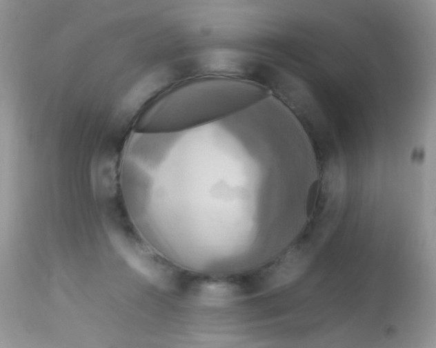 X0000113070360200909182030