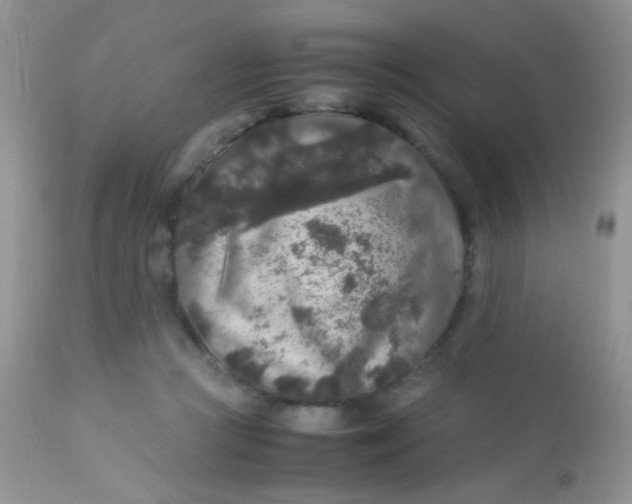 X0000113070361200909182030