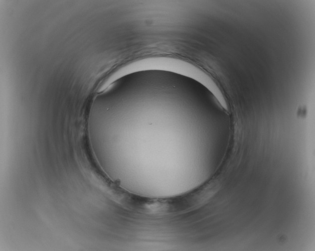 X0000113070362200909182030