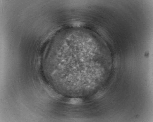 X0000113070363200909182030