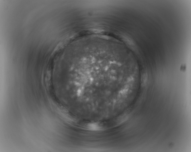 X0000113070365200909182030