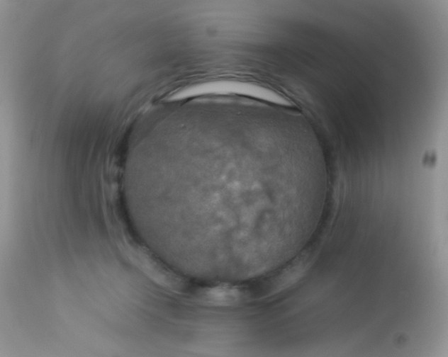 X0000113070366200909182030