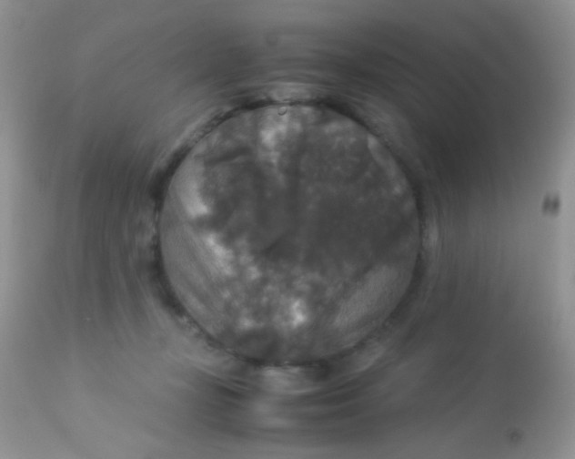 X0000113070367200909182030