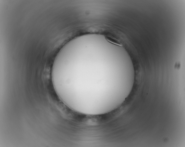 X0000113070368200909182030