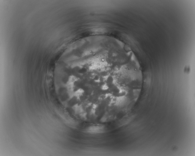 X0000113070369200909182030