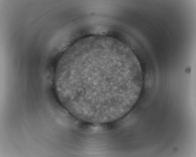 X0000113070370200909182030