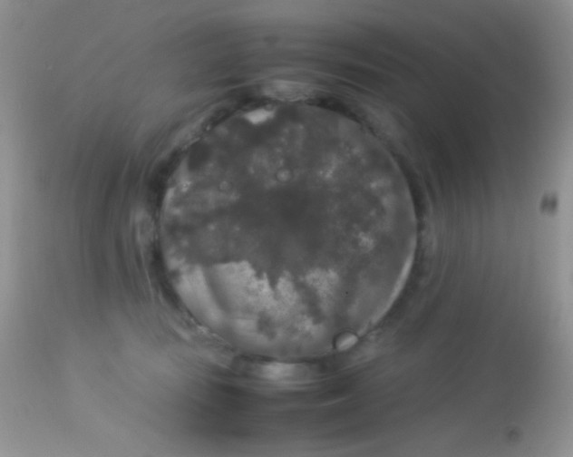 X0000113070371200909182030