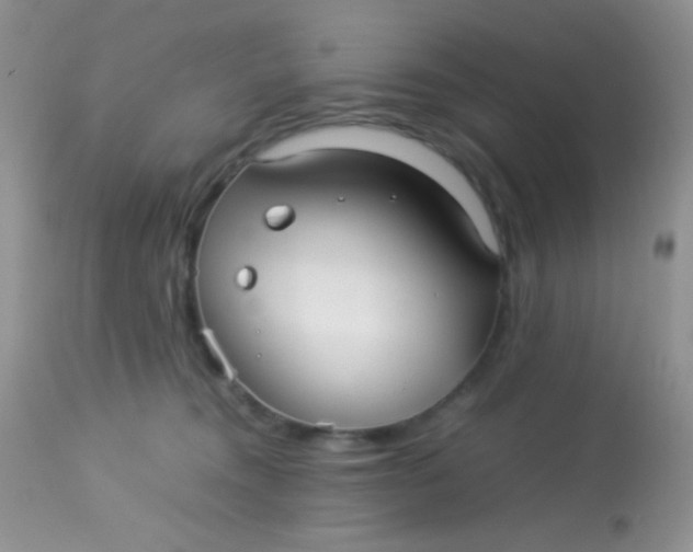 X0000113070372200909182030