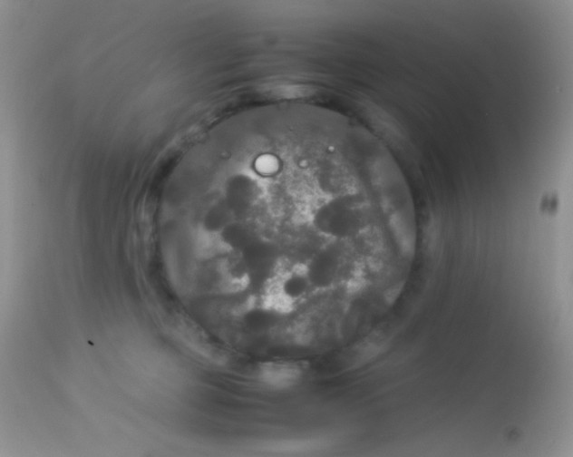 X0000113070373200909182030