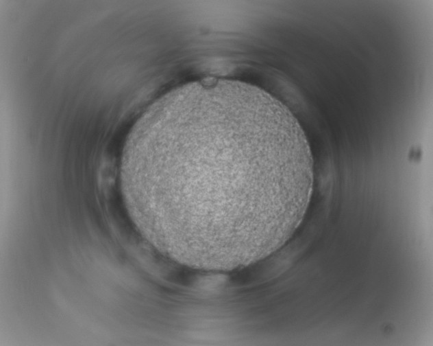 X0000113070374200909182030