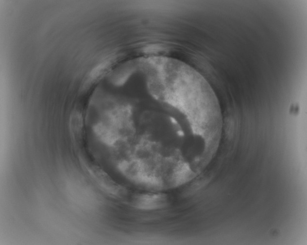 X0000113070375200909182030