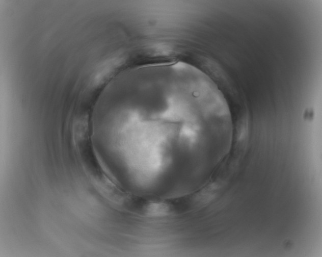 X0000113070376200909182030