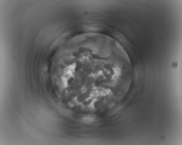 X0000113070377200909182030