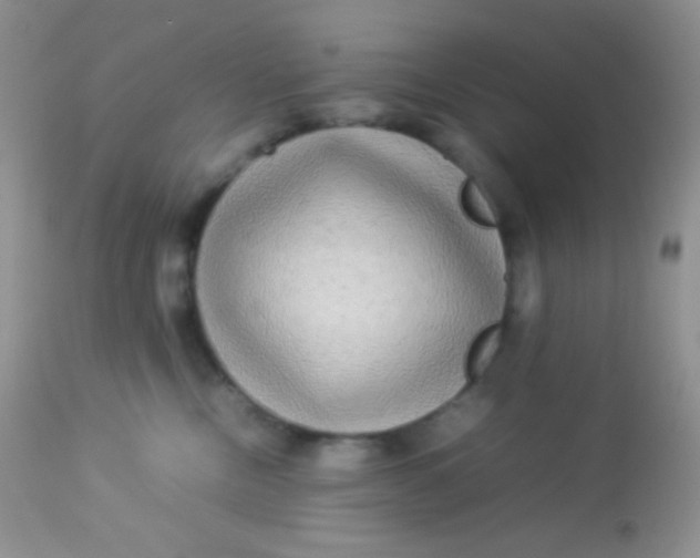 X0000113070378200909182030