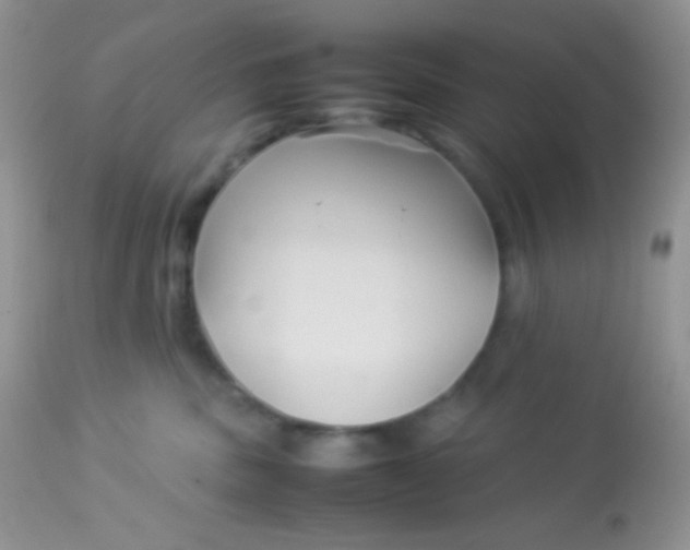 X0000113070379200909182030