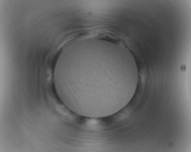 X0000113070380200909182030