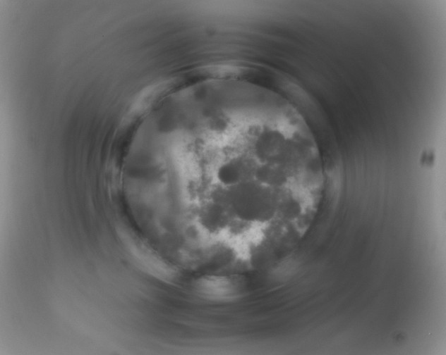 X0000113070381200909182030