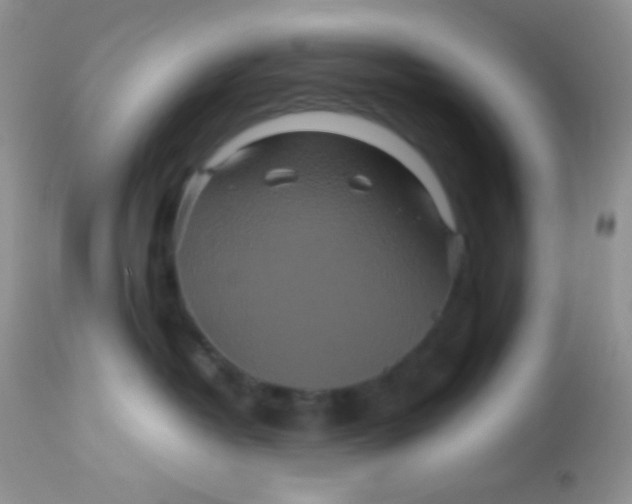 X0000113070382200909182030