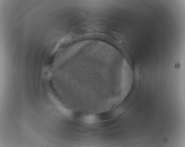 X0000113070383200909182030