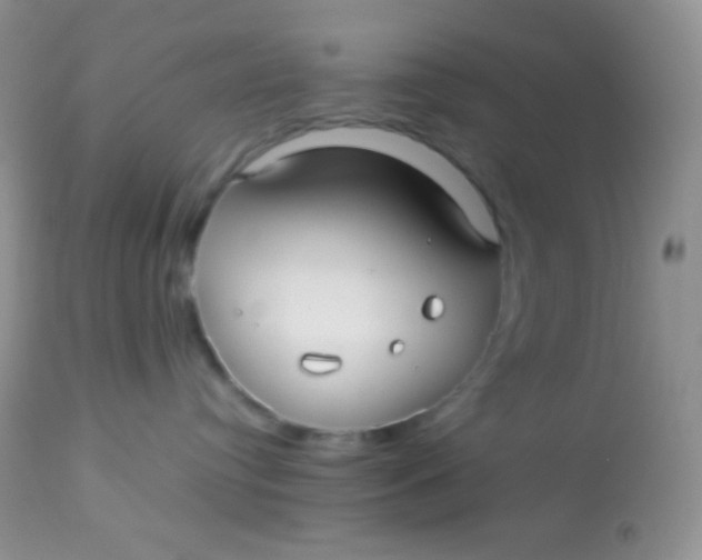 X0000113070384200909182031