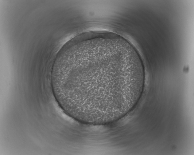 X0000113070385200909182030