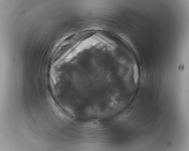 X0000113070386200909182030