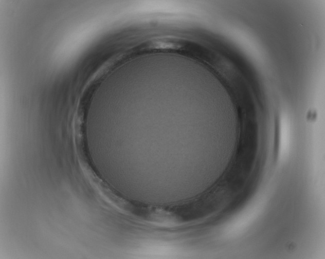 X0000113070387200909182030