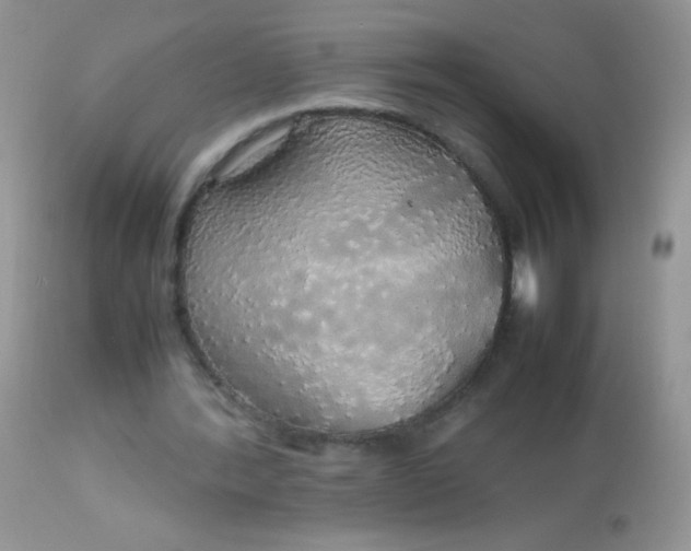 X0000113070388200909182030