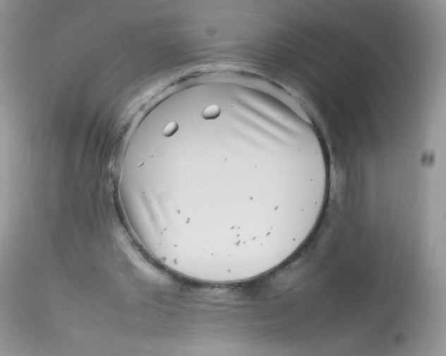 X0000113070389200909182030