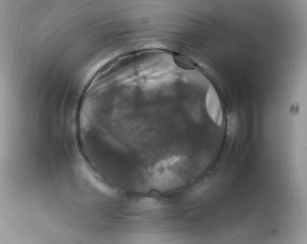 X0000113070390200909182030