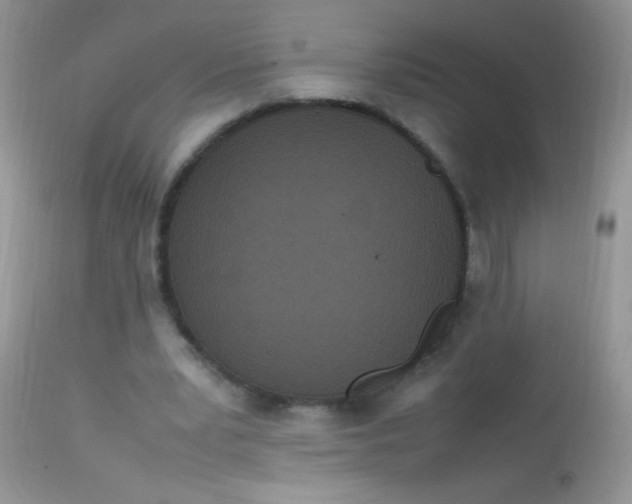 X0000113070391200909182030