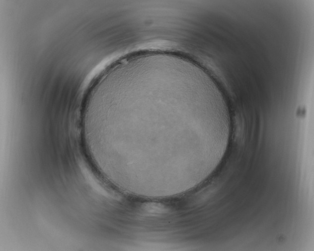 X0000113070392200909182030