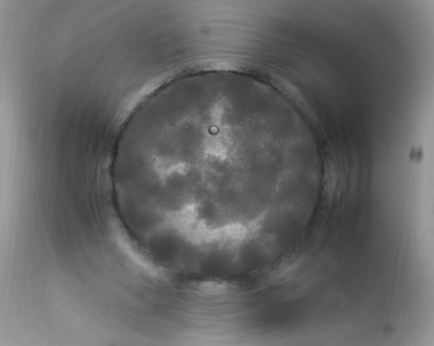 X0000113070394200909182030