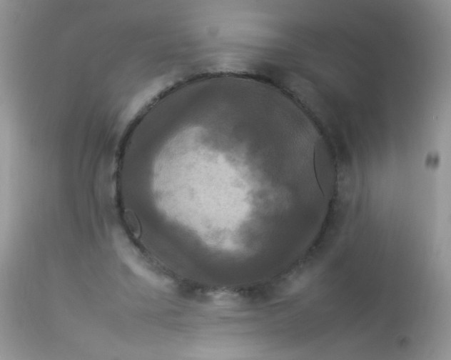 X0000113070395200909182030