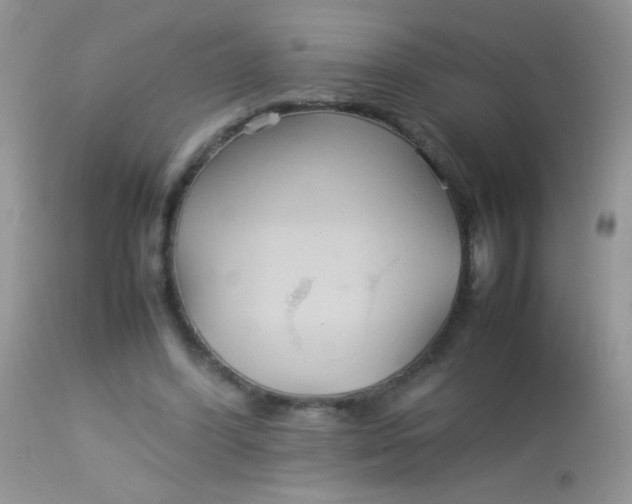 X0000113070396200909182030