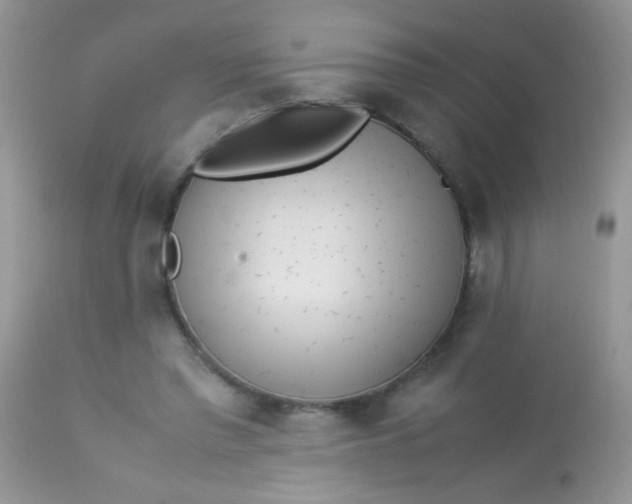 X0000113070397200909182030